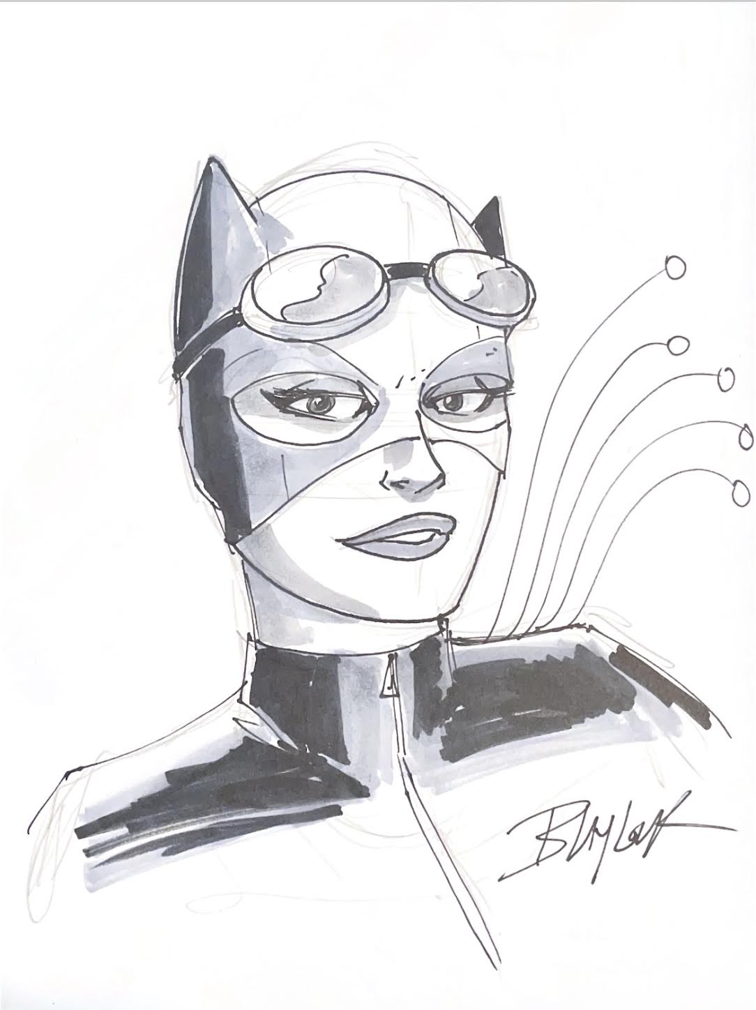 Josh Blaylock - Catwoman