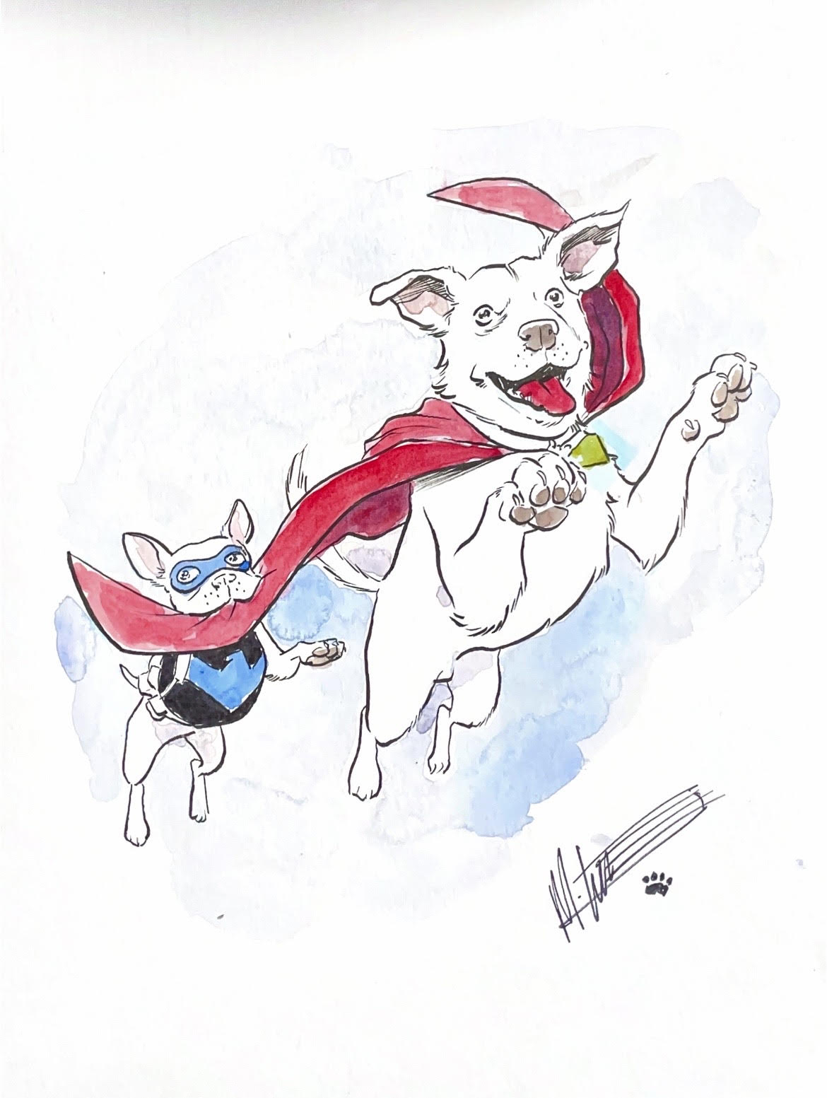 Mike Norton - Krypto and Haley